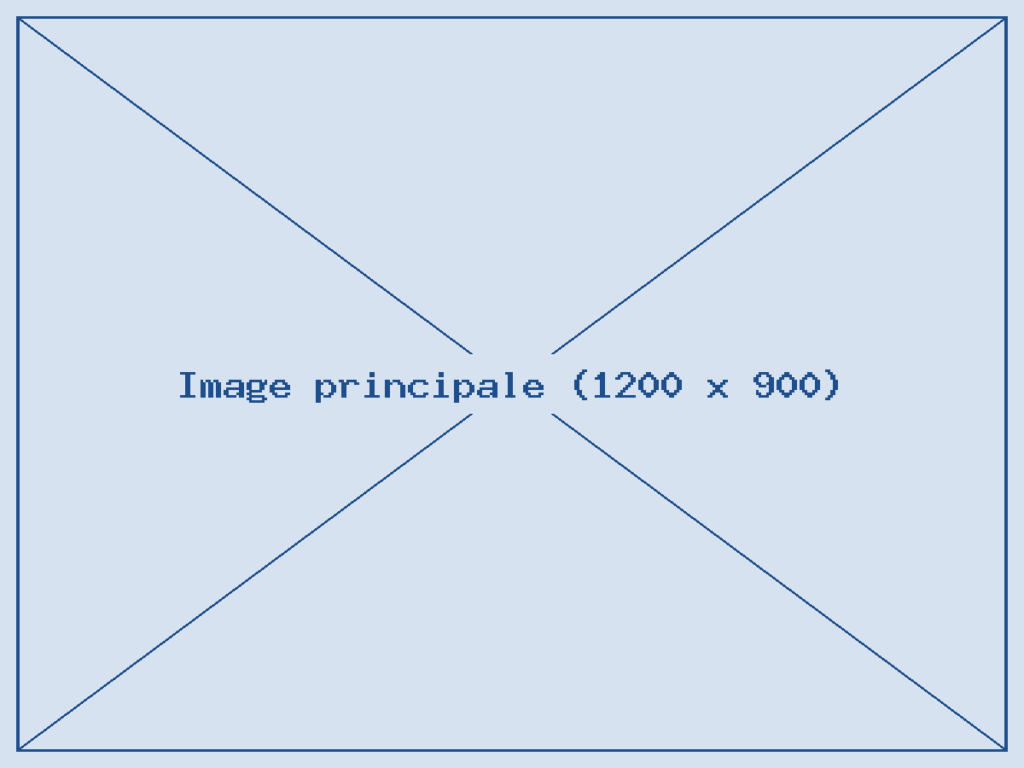 Image principale de la page d'accueil – à remplacer